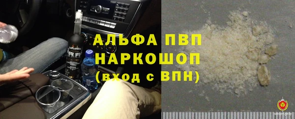 стафф Медногорск