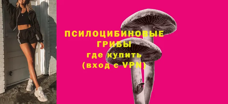 Псилоцибиновые грибы MAGIC MUSHROOMS  дарнет шоп  Дзержинский 