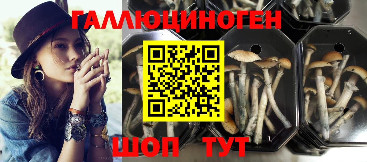 Псилоцибиновые грибы GOLDEN TEACHER Дзержинский