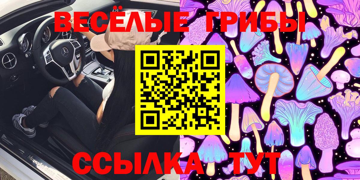 как найти закладки  Псилоцибиновые грибы прущие грибы  Псилоцибиновые грибы мухоморы  Вход с VPN  Дзержинский 