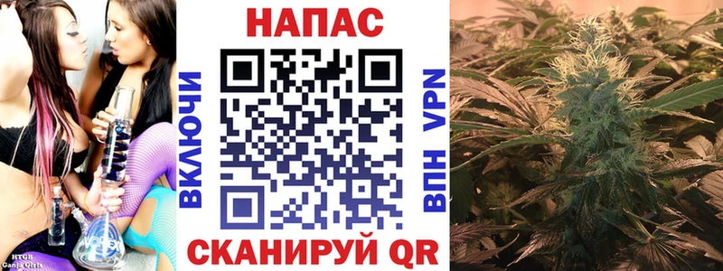 продажа наркотиков  Дзержинский  Бошки марихуана SATIVA & INDICA 